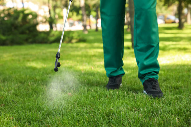 Pest Control Cost in Waveland, MS