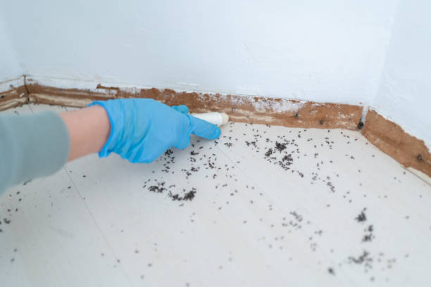 Best Commercial Pest Control Services  in Waveland, MS